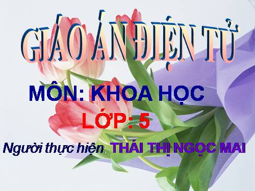 Bài 19. Phòng tránh tai nạn giao thông đường bộ