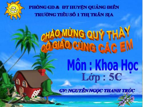 Bài 27. Gốm xây dựng: gạch, ngói