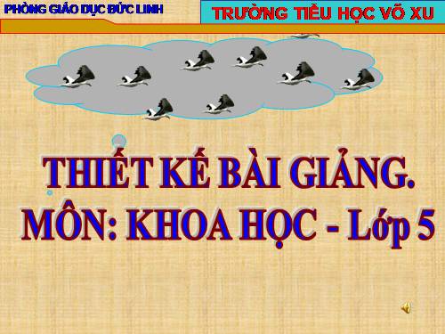 Giáo án điện tử