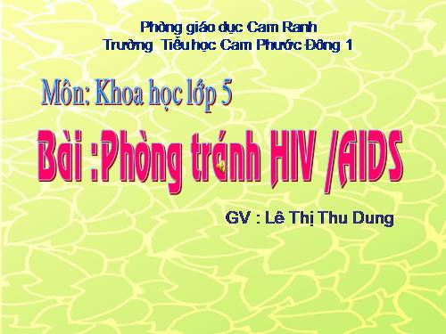 Bài 16. Phòng tránh HIV / AIDS