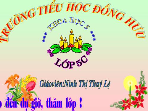 Bài 13. Phòng bệnh sốt xuất huyết