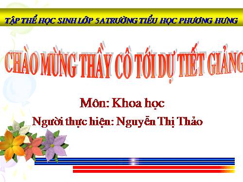 Bài 19. Phòng tránh tai nạn giao thông đường bộ