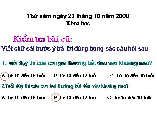 Bài 22. Tre, mây, song