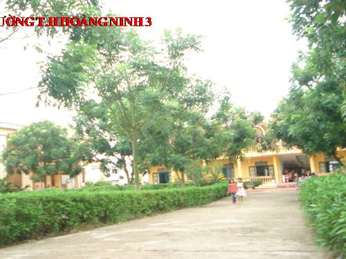 Bài 19. Phòng tránh tai nạn giao thông đường bộ