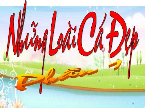 Cá đẹp HẤP lắm nè!!