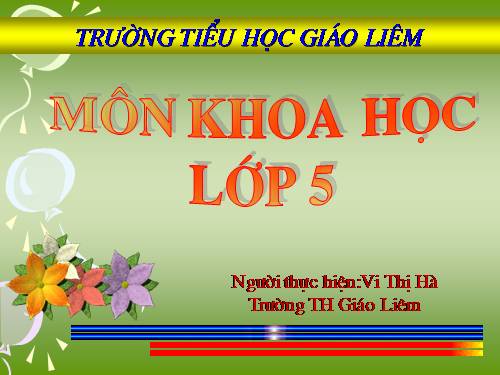 Bài 19. Phòng tránh tai nạn giao thông đường bộ