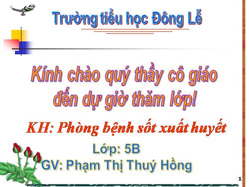 Bài 13. Phòng bệnh sốt xuất huyết