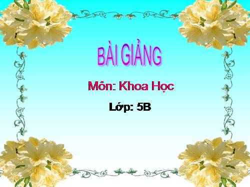 Bài 13. Phòng bệnh sốt xuất huyết