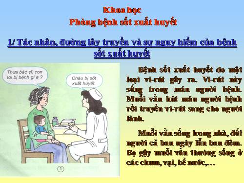 Bài 13. Phòng bệnh sốt xuất huyết