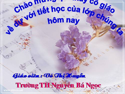 Bài 19. Phòng tránh tai nạn giao thông đường bộ