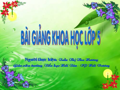 Bài 19. Phòng tránh tai nạn giao thông đường bộ