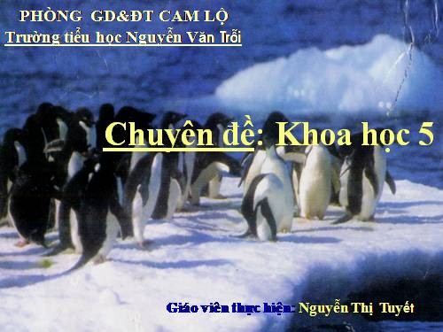 Bài 59. Sự sinh sản của thú