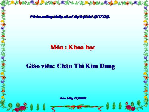 Bài 32. Tơ sợi