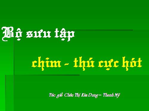 Bo suu tap chim thu cuc hot
