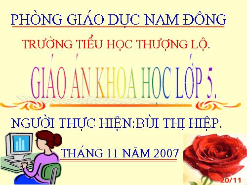 Bài 19. Phòng tránh tai nạn giao thông đường bộ