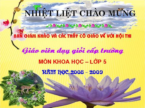 Bài 13. Phòng bệnh sốt xuất huyết