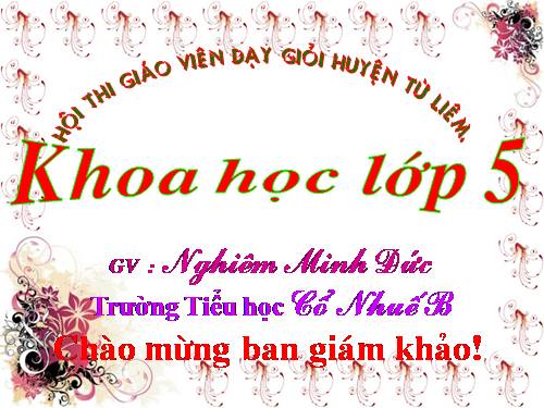 Bài 31. Chất dẻo