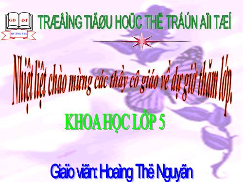 Bài 66. Tác động của con người đến môi trường đất