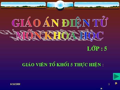 Giáo án K5 trường TH Thành Triệu