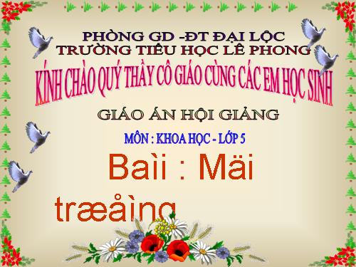 Bài 62. Môi trường