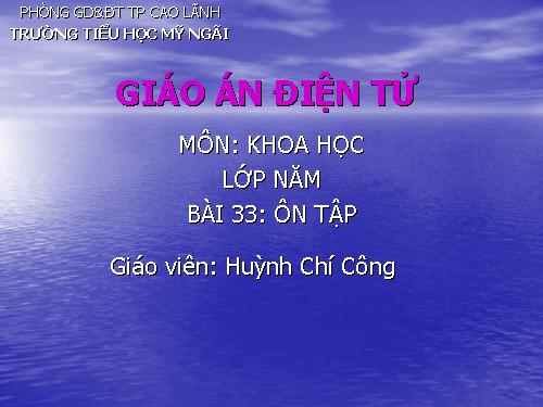 Bài 33-34. Ôn tập và Kiểm tra học kì I