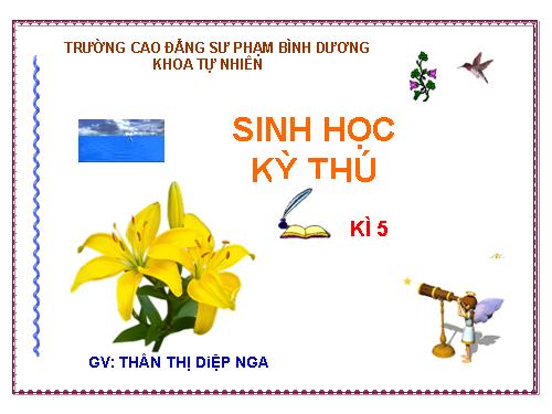 DÒNG ĐỜI CÂY XANH VEN HỒ