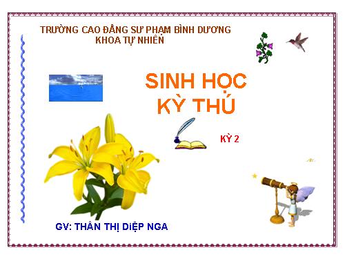 SỰ KỲ DIỆU CỦA BIỂN CẢ