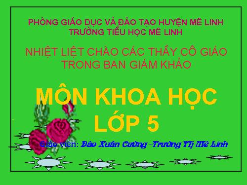 Bài 32. Tơ sợi
