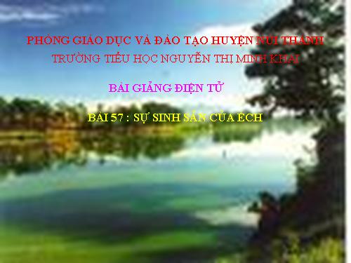 Bài 57. Sự sinh sản của ếch