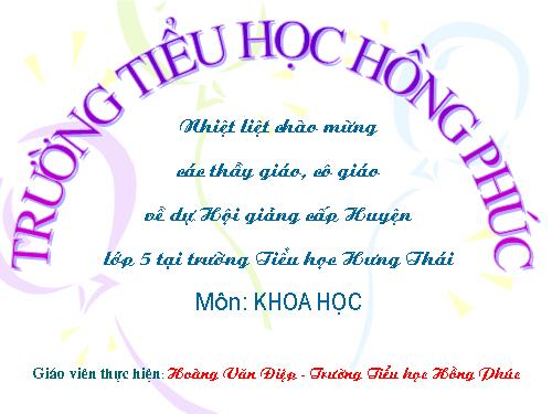 Bài 38-39. Sự biến đổi hóa học