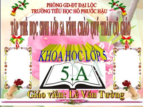 Bài 24. Đồng và hợp kim của đồng