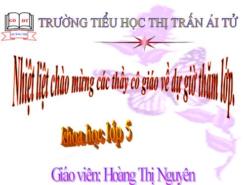 Bài 66. Tác động của con người đến môi trường đất