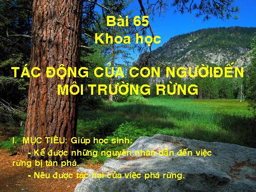 Bài 65. Tác động của con người đến môi trường rừng