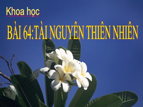 Bài 63. Tài nguyên thiên nhiên