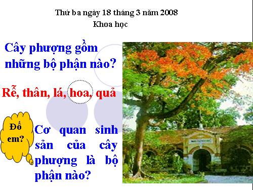 Bài 51. Cơ quan sinh sản của thực vật có hoa