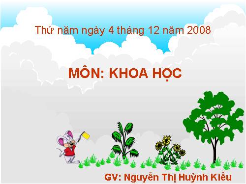 Bài 19. Phòng tránh tai nạn giao thông đường bộ