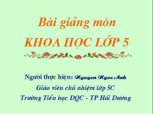 Bài 14. Phòng bệnh viêm não