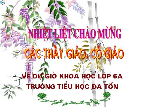 Bài 14. Phòng bệnh viêm não