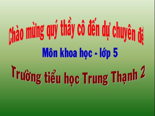 Bài 18. Phòng tránh bị xâm hại