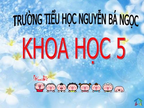 Bài 15. Phòng bệnh viêm gan A