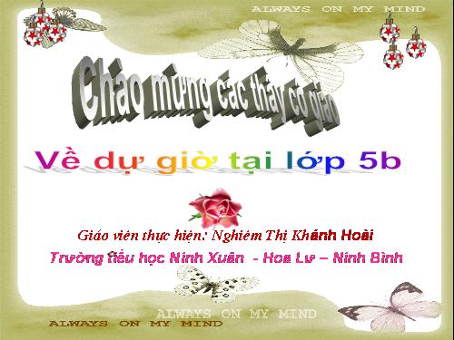 Bài 20-21. Ôn tập: Con người và sức khỏe