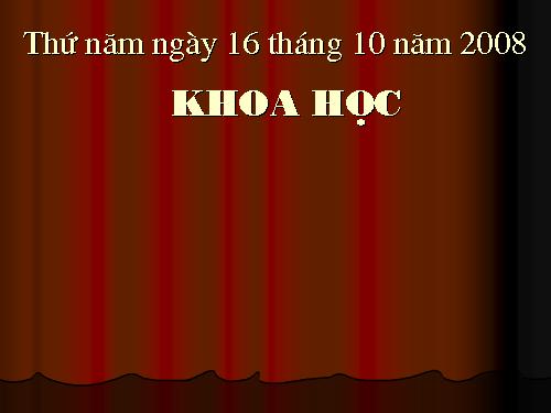 Bài 15. Phòng bệnh viêm gan A
