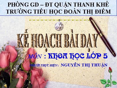 Bài 26. Đá vôi