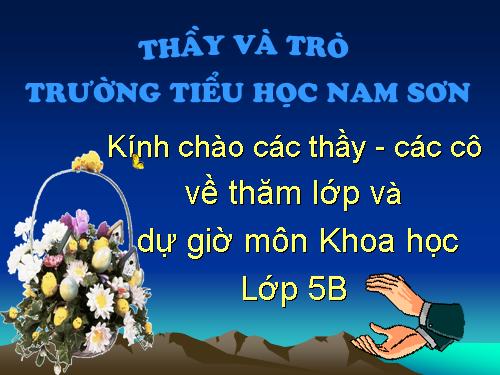 Bài 30. Cao su