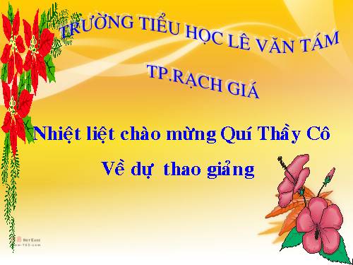 Bài 19. Phòng tránh tai nạn giao thông đường bộ