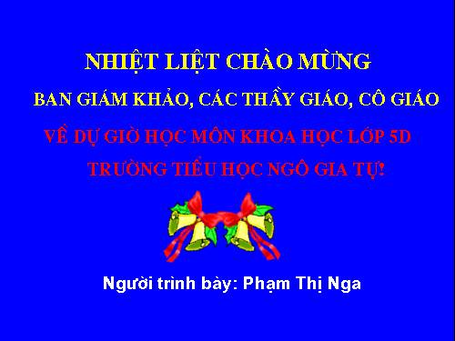 Bài 14. Phòng bệnh viêm não