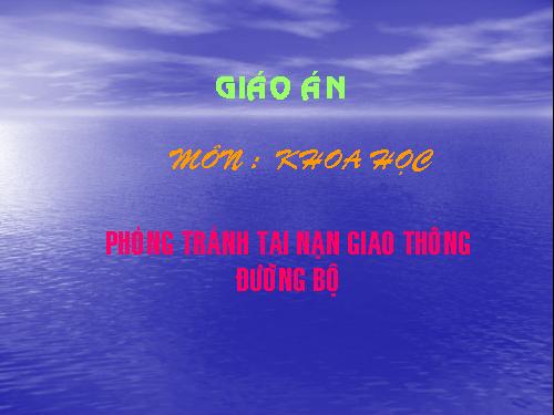 Bài 19. Phòng tránh tai nạn giao thông đường bộ