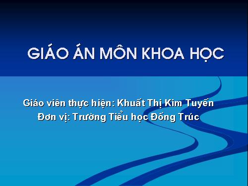 Bài 48. An toàn và tránh lãng phí khi sử dụng điện