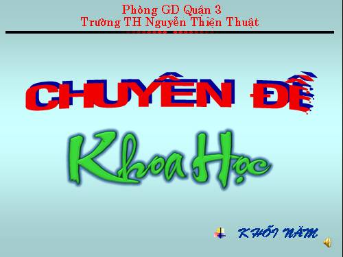 Bài 16. Phòng tránh HIV / AIDS