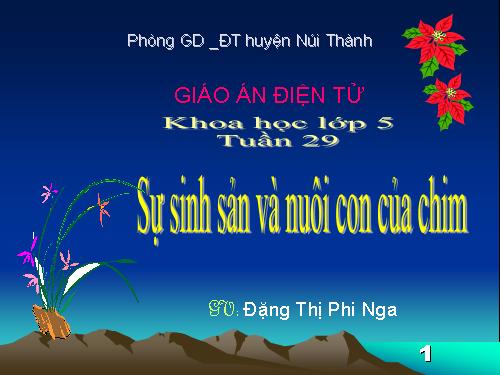 Bài 58. Sự sinh sản và nuôi con của chim